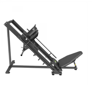 Leg Press Hack Squat