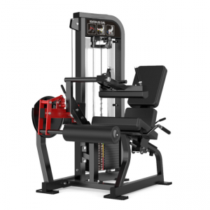 Seated Leg Curl