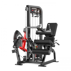 Seated Leg Curl Leg Extension