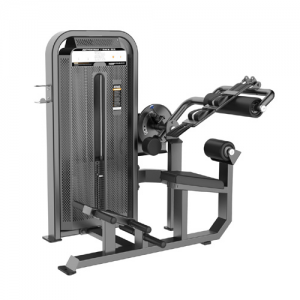 ABDOMINAL BACK EXTENSION
