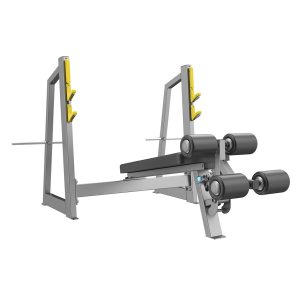 Olympic Decline Bench