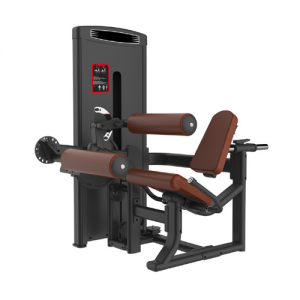 Seated Leg Curl