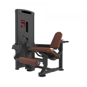 Leg Extension