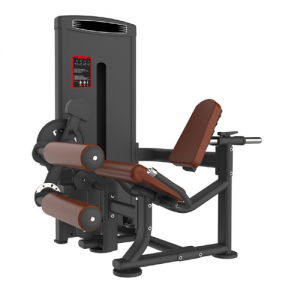 Seated Leg Curl Leg Extension