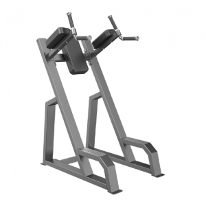 DIP VERTICAL KNEE RAISE